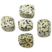 Dalmatian Tumbled Stone - Love Rocks